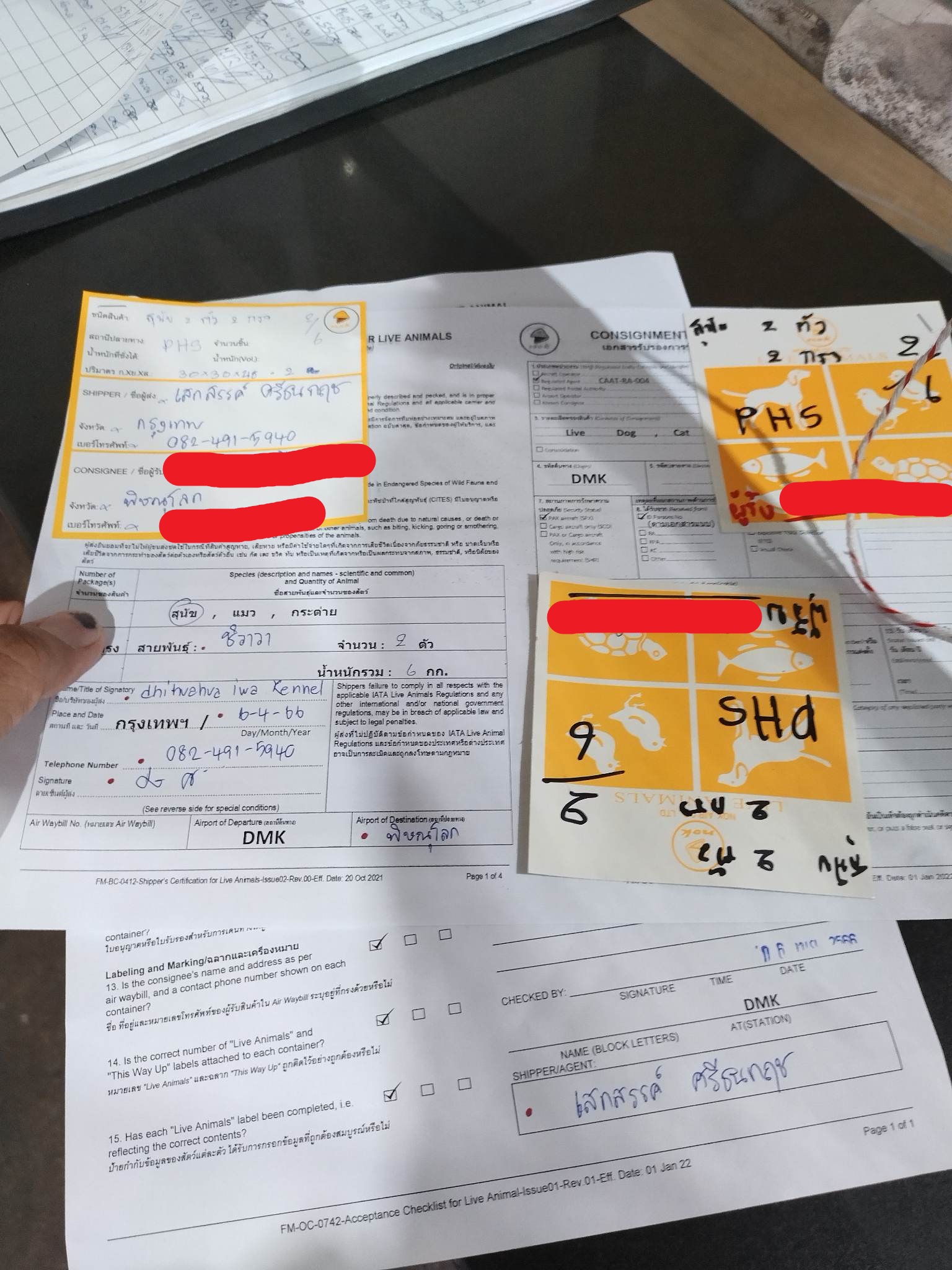 chihuahuathailand 
chihuahua 
ชิวาว่า 
ชิวาวา